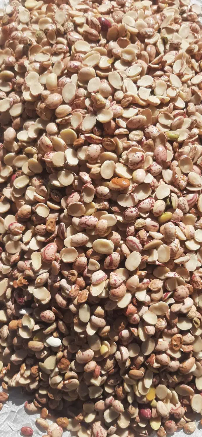 لوبیا اشی|خوردنی و آشامیدنی|مهاجران, |دیوار