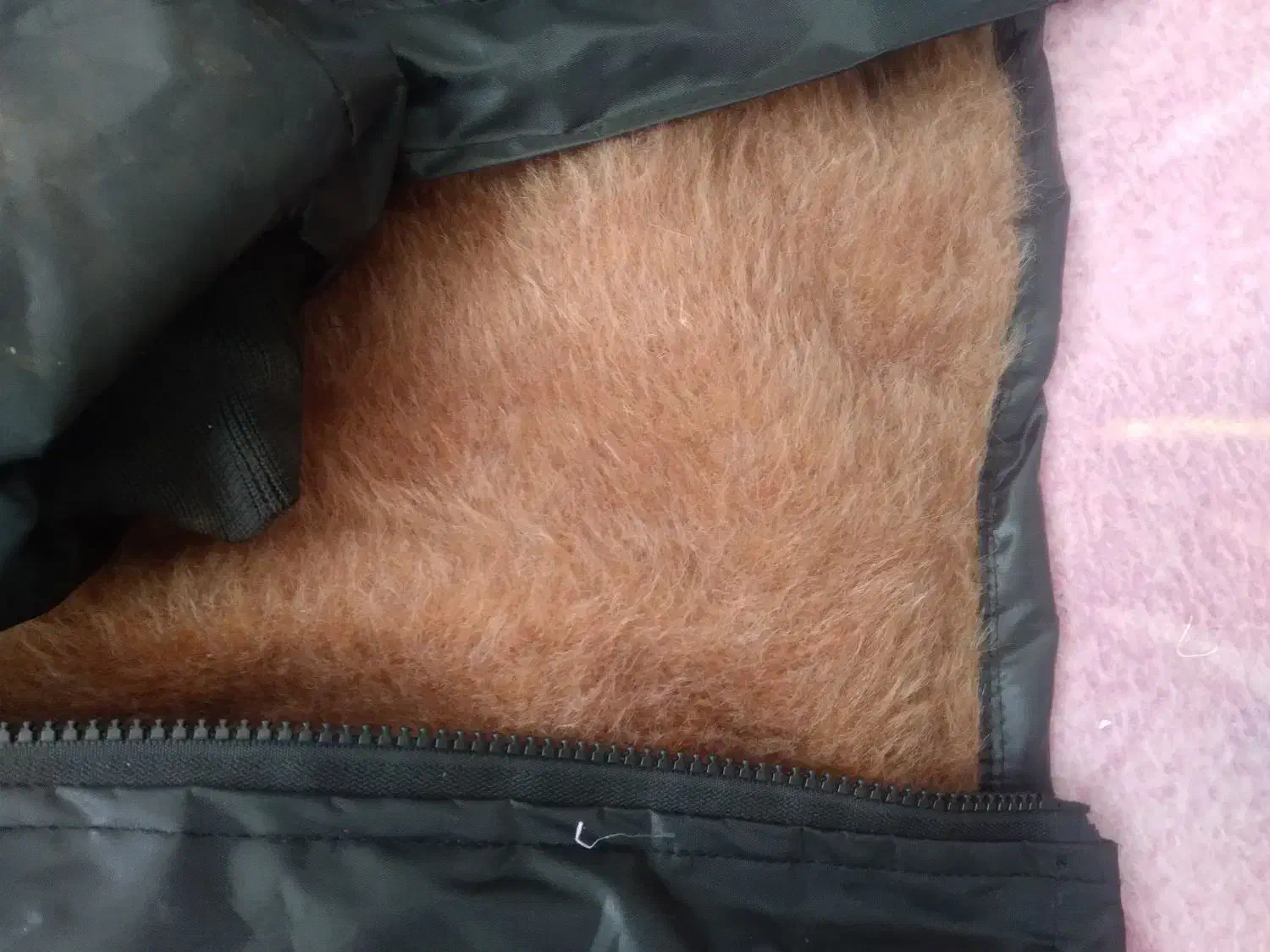 کاپشن بادگیر|لباس|تربت جام, زیباکنار|دیوار