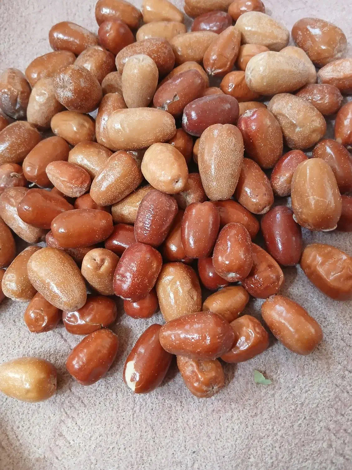 سنجد حاج حسین .قیمت ۴۰۰|خوردنی و آشامیدنی|گوگان, |دیوار