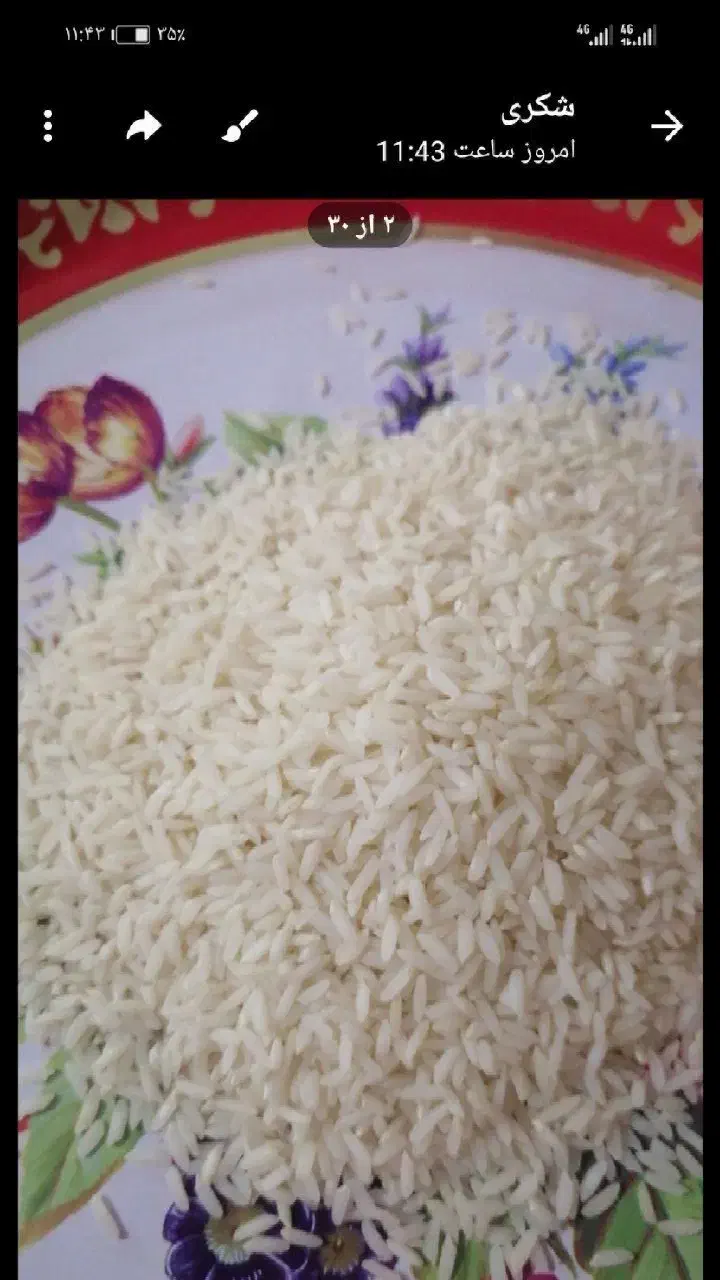 برنج گیلان صدری هاشمی  سالم یکدست بشرط پخت|خوردنی و آشامیدنی|قزوین, |دیوار