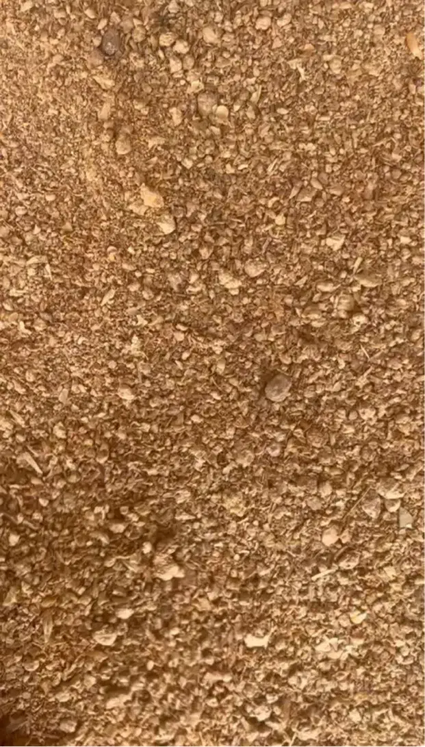 انواع خوراک دام و طیور|حیوانات مزرعه|شهریار, شهریار|دیوار