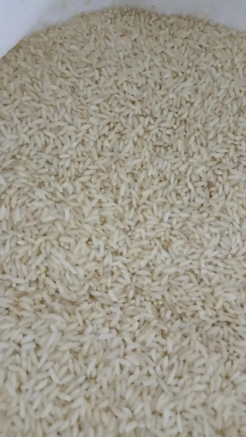 برنج محلی ارگانیک هندی|خوردنی و آشامیدنی|کازرون, |دیوار