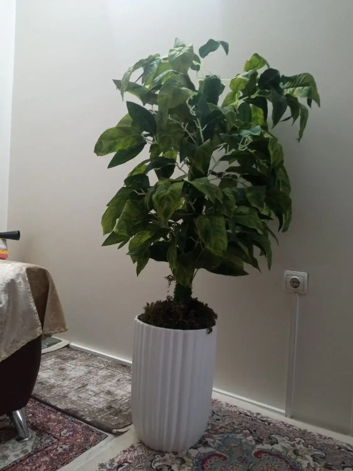 گلدان وگل مصنوعی|گل مصنوعی|مشهد, خرمشهر|دیوار