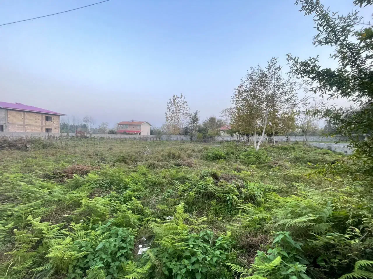 فروش زمین مسکونی سند تک برگ|فروش زمین و ملک کلنگی|شاندرمن, |دیوار