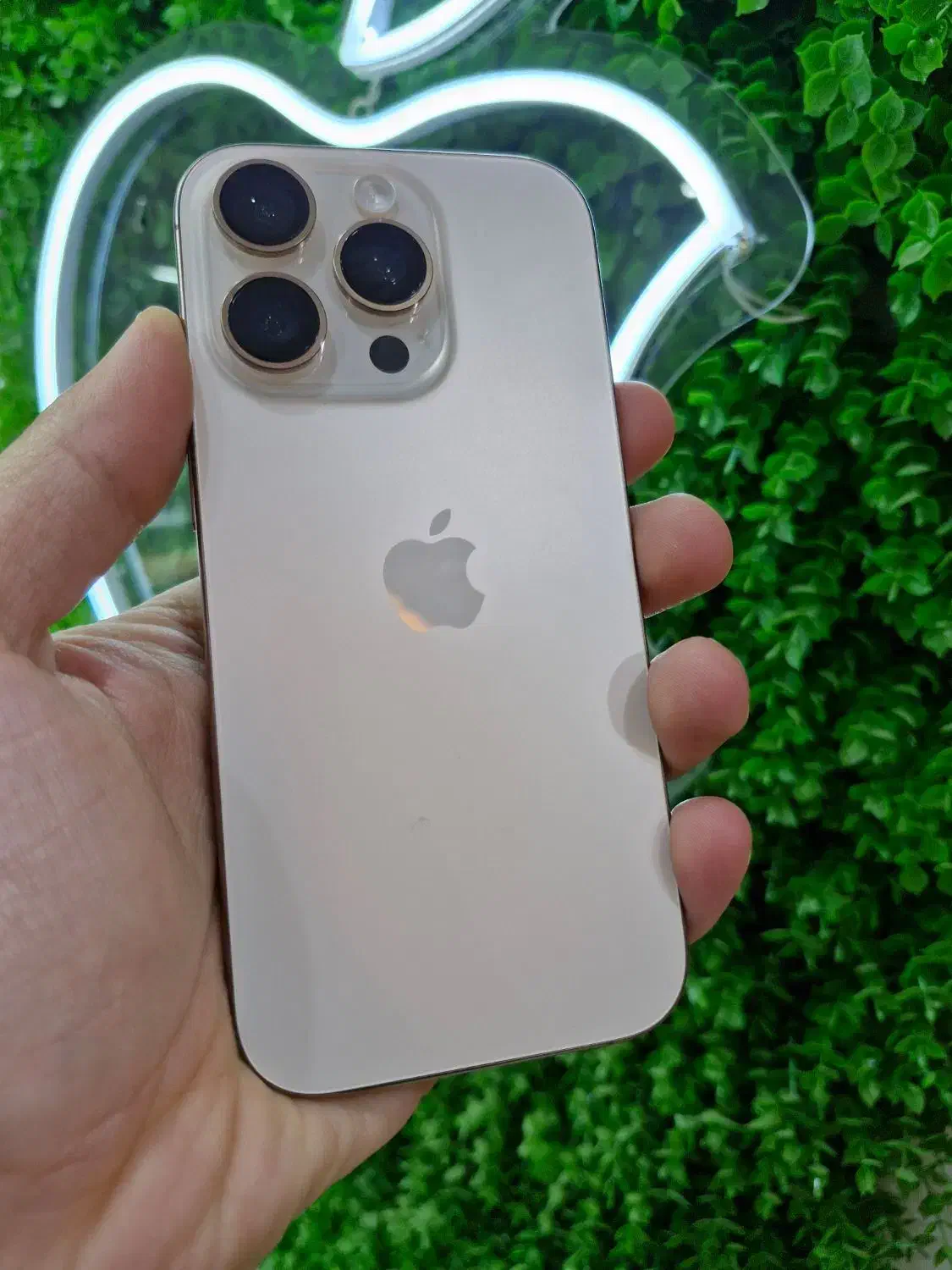 16pro..256 zaa رجیسترشده|موبایل|هشتگرد, شهرک بعثت|دیوار