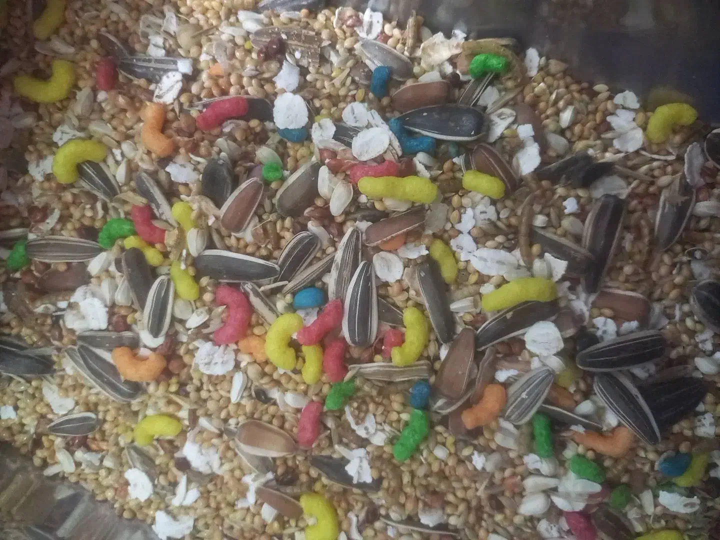 پخش خوراک پرنده|لوازم جانبی حیوانات|رفسنجان, |دیوار