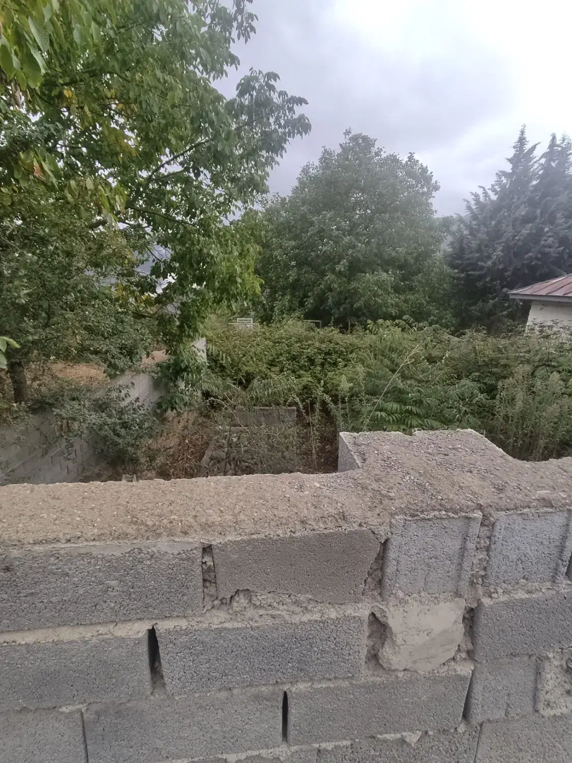 زمین|فروش زمین و ملک کلنگی|آلاشت, |دیوار