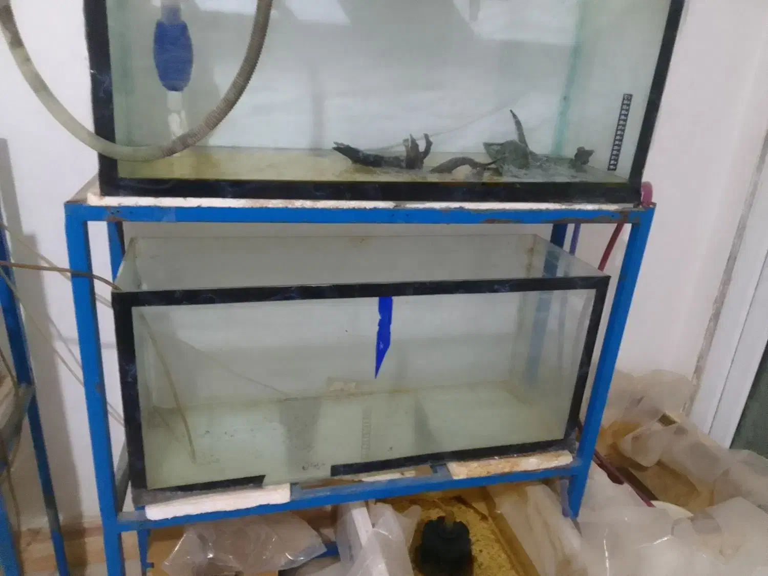 ۳تا آکواریوم باپایه فلزی|ماهی|پاکدشت, پاکدشت (مامازند)|دیوار