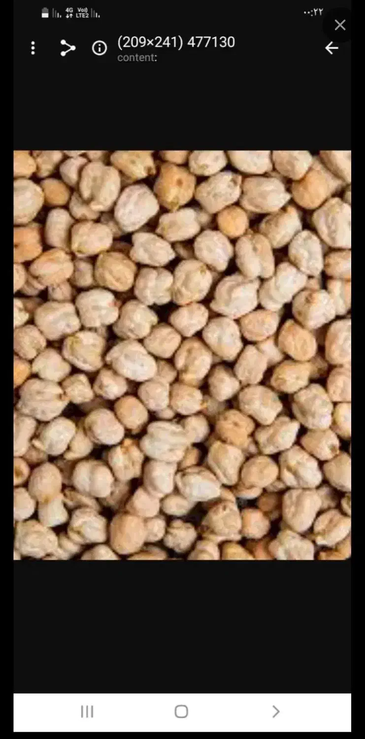 نخود درشت|خوردنی و آشامیدنی|دهگلان, |دیوار