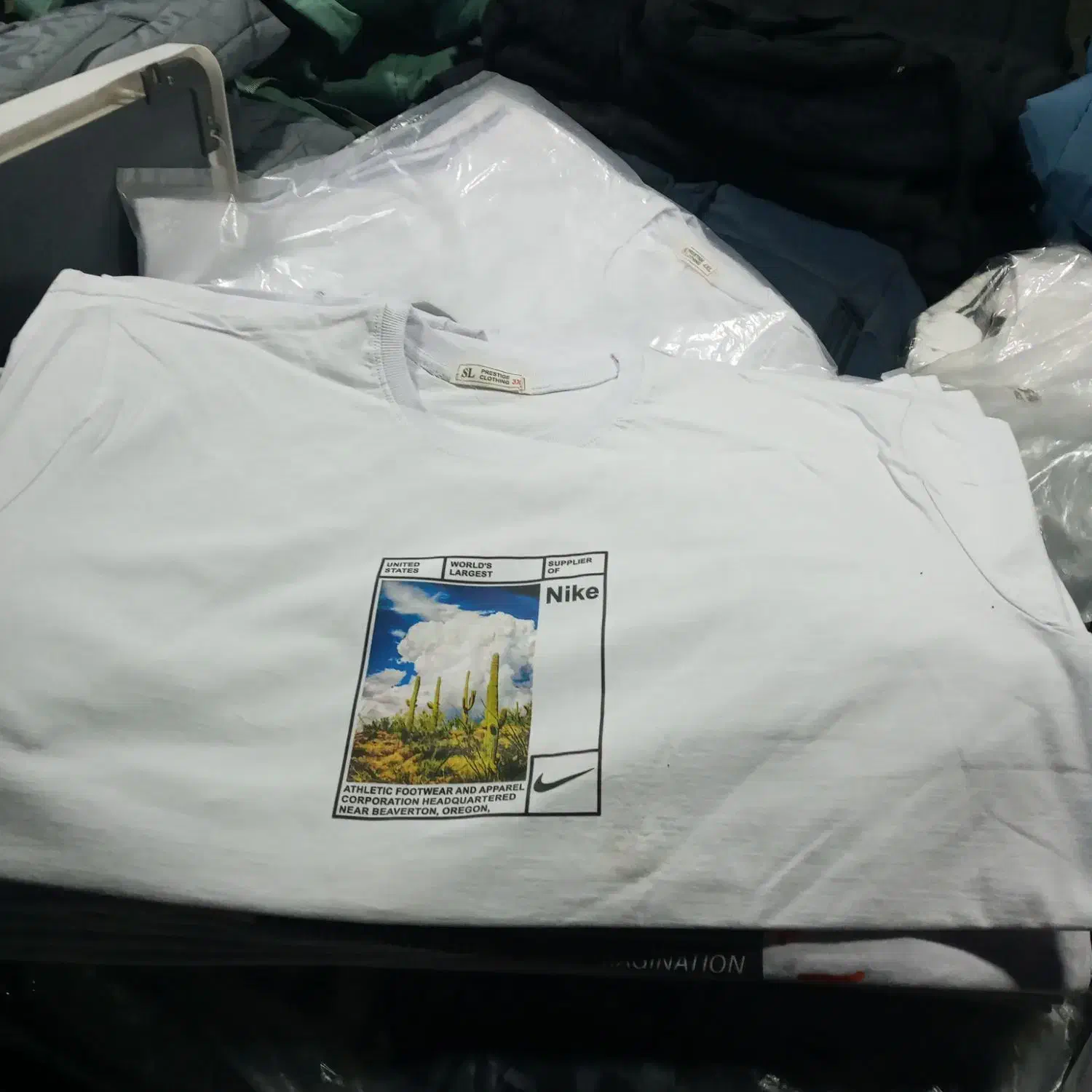 تیشرت مردانه نخ پنبه|لباس|تهران, عبدلآباد|دیوار