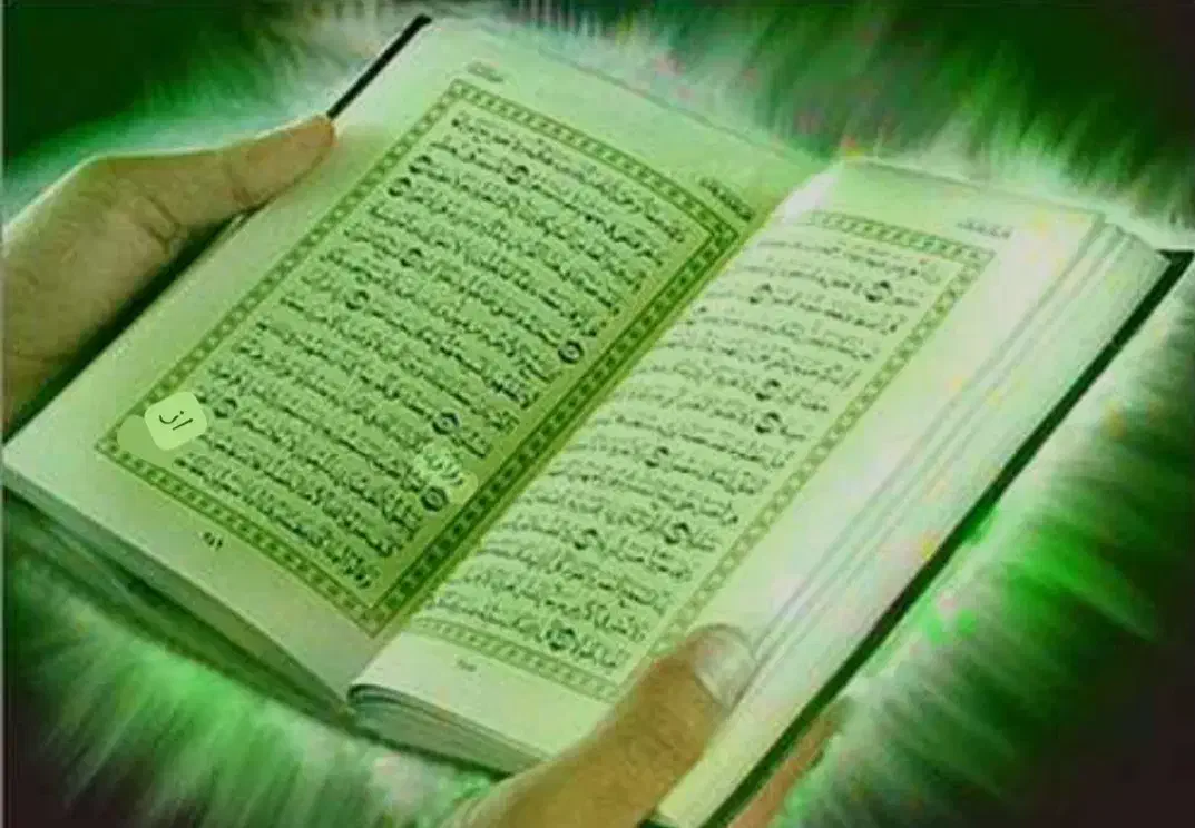 سرنوشت|کلکسیون و سرگرمی|کرمان, |دیوار