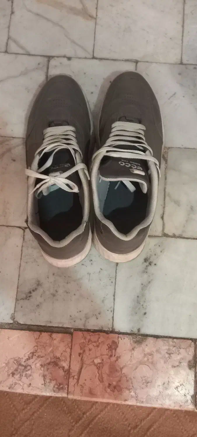 کفش ورزشی|کیف، کفش، کمربند|مشهد, ابوذر|دیوار