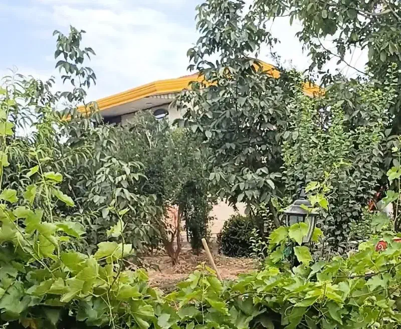 سرایدار باغ|استخدام سرایداری و نظافت|پاکدشت, پاکدشت (مامازند)|دیوار