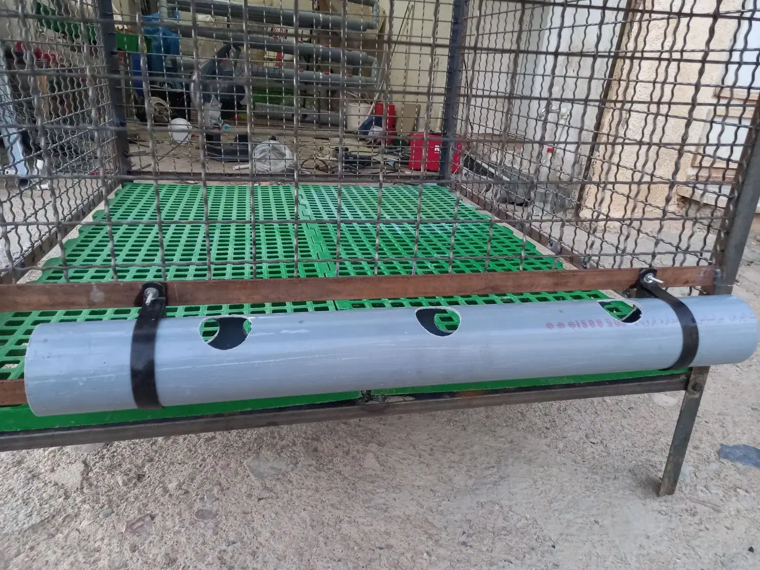 قفس مرغ و خروس|لوازم جانبی حیوانات|بوکان, |دیوار