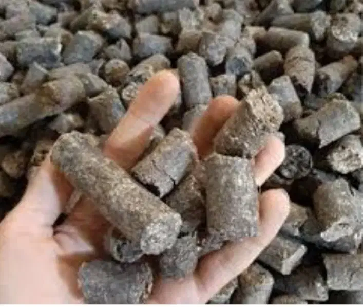 تفاله فشنگی چغندر|حیوانات مزرعه|هشترود, |دیوار