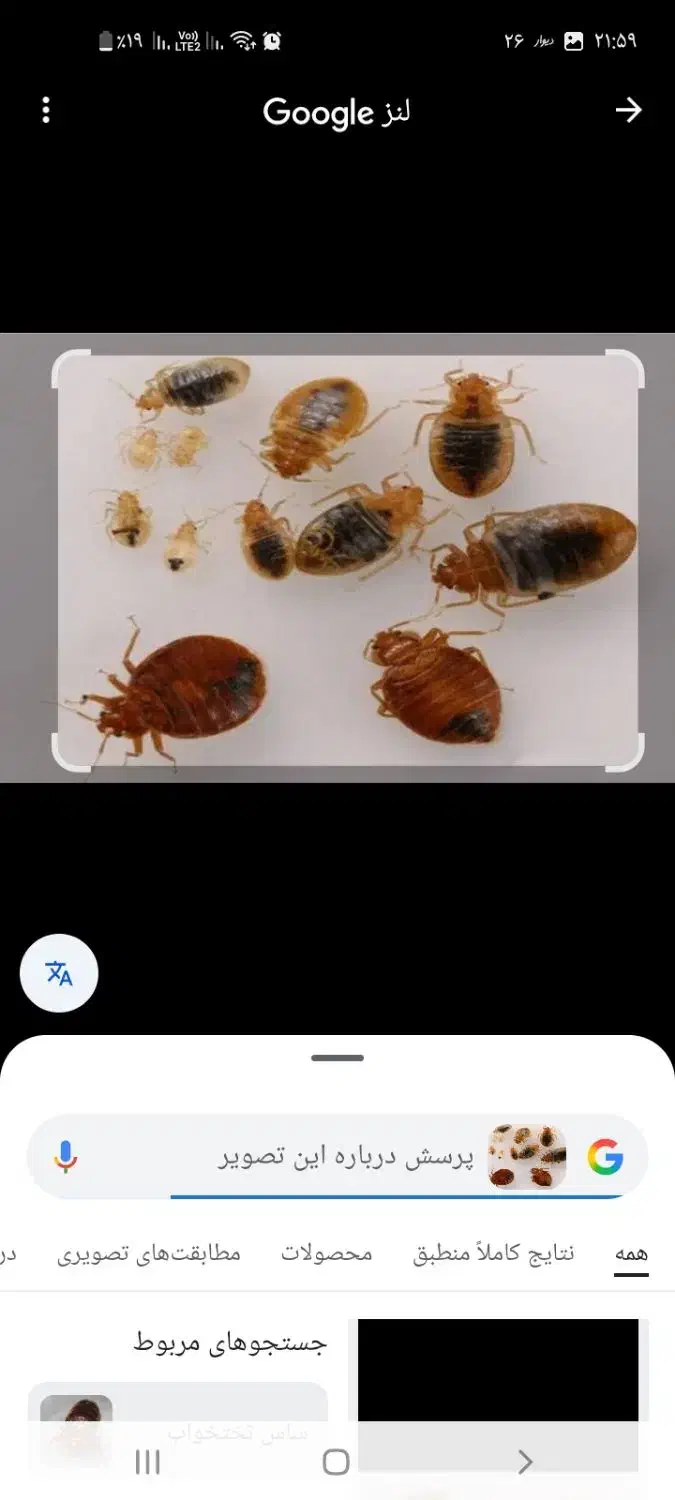 سمپاشی سم‌پاشی پردیسان قم روستاها شبانه روزی|خدمات نظافت|قم, انسجام|دیوار