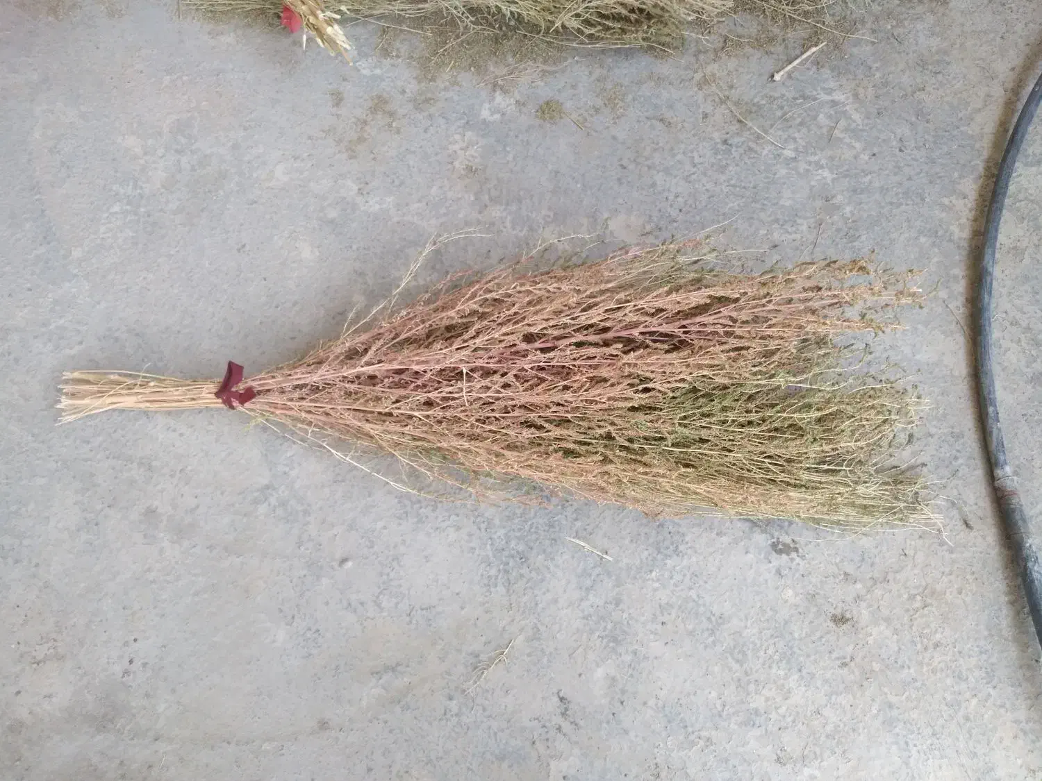 بهترین جارو|لوازم نظافت|فیروزآباد (لرستان), |دیوار