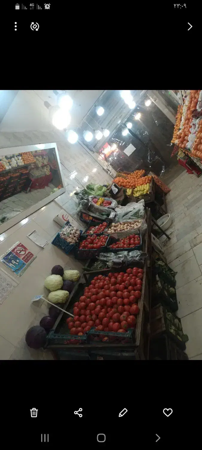 میزمیوه فروشی|فروشگاه و مغازه|مشهد, رسالت|دیوار