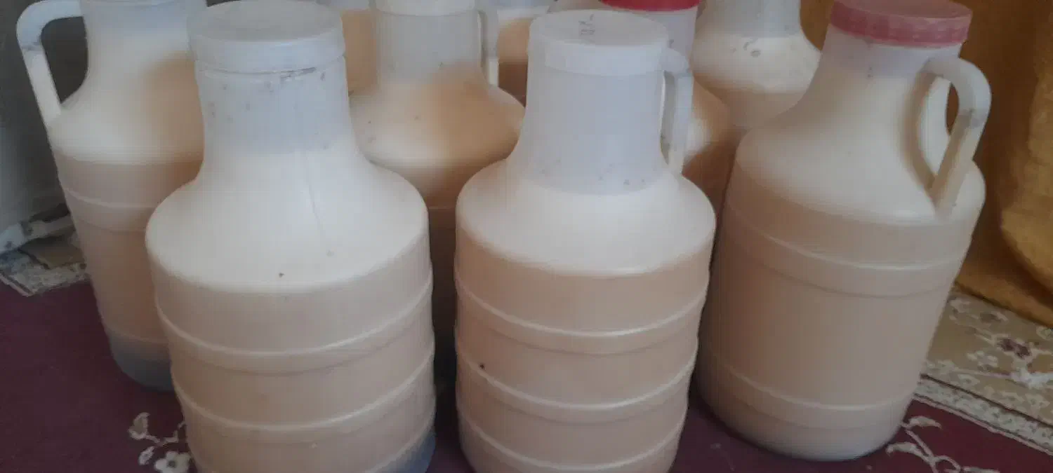 عسل کنار ویژه وعسل مش کورک|خوردنی و آشامیدنی|جره و بالاده, |دیوار