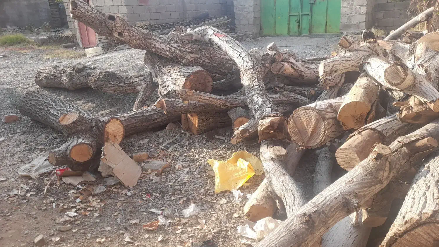 فروش چوب باغی|عمدهفروشی|اسفندقه, |دیوار