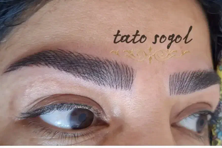 شیدلب رایگان شهرک|خدمات آرایشگری و زیبایی|تربتحیدریه, شهرک ولیعصر|دیوار