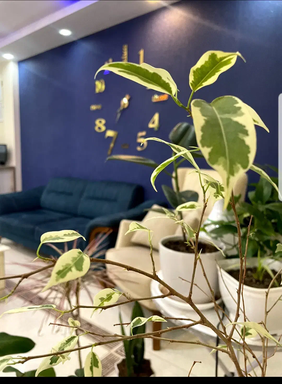 آموزش دستگاه‌های لیزر (آموزش لاین‌های پر سود)|خدمات آموزشی|اهواز, پادادشهر|دیوار