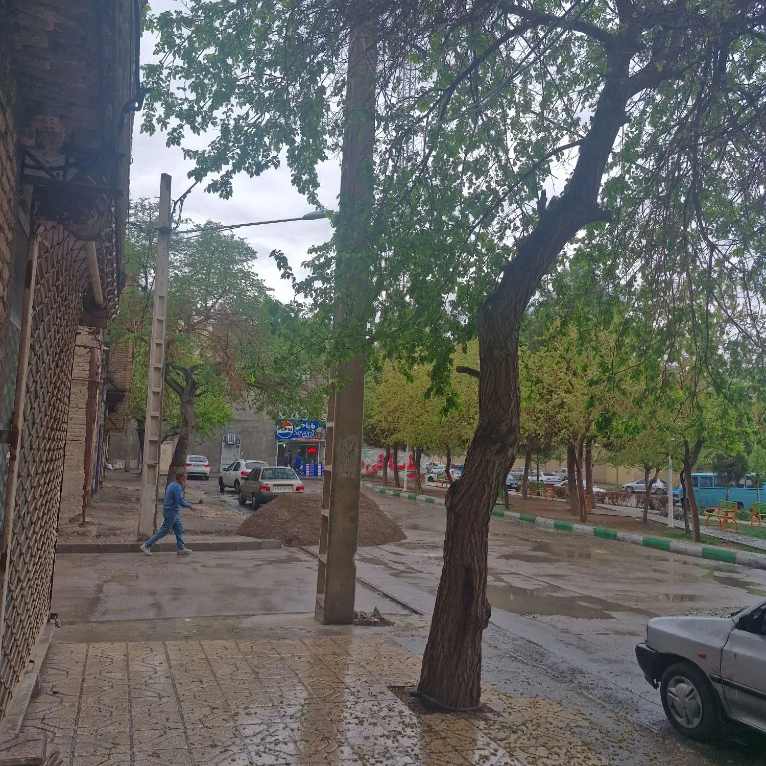 مغازه سردونبش ته چراغچی ۲۵کنارپارک خطی قدس|اجارهٔ مغازه و غرفه|مشهد, سپاد|دیوار