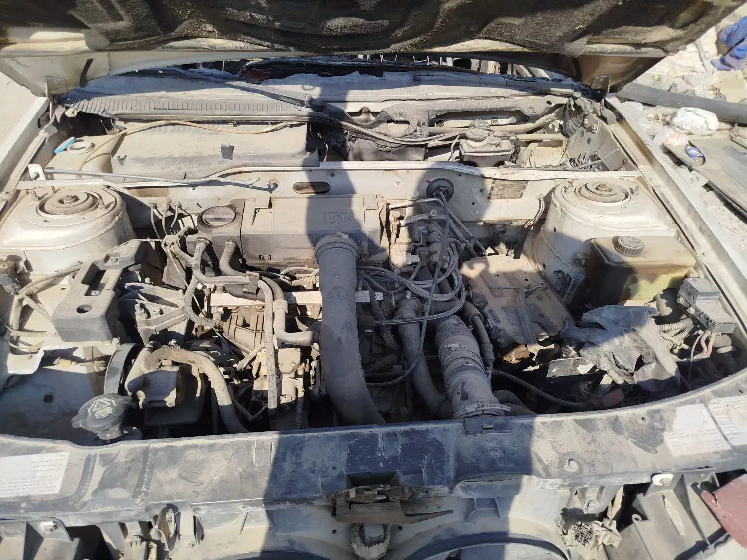 پارس شاسی پلم کمر سالم|خودرو سواری و وانت|داراب, |دیوار