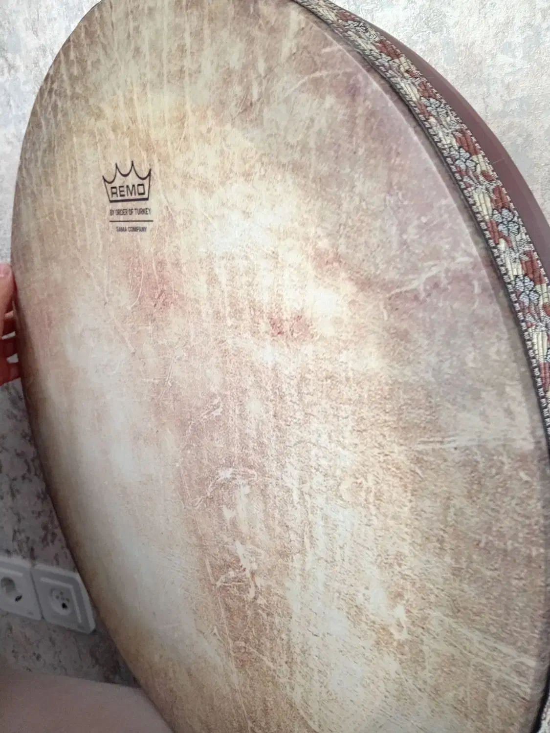 دف REMO|سازهای سنتی|سقز, |دیوار