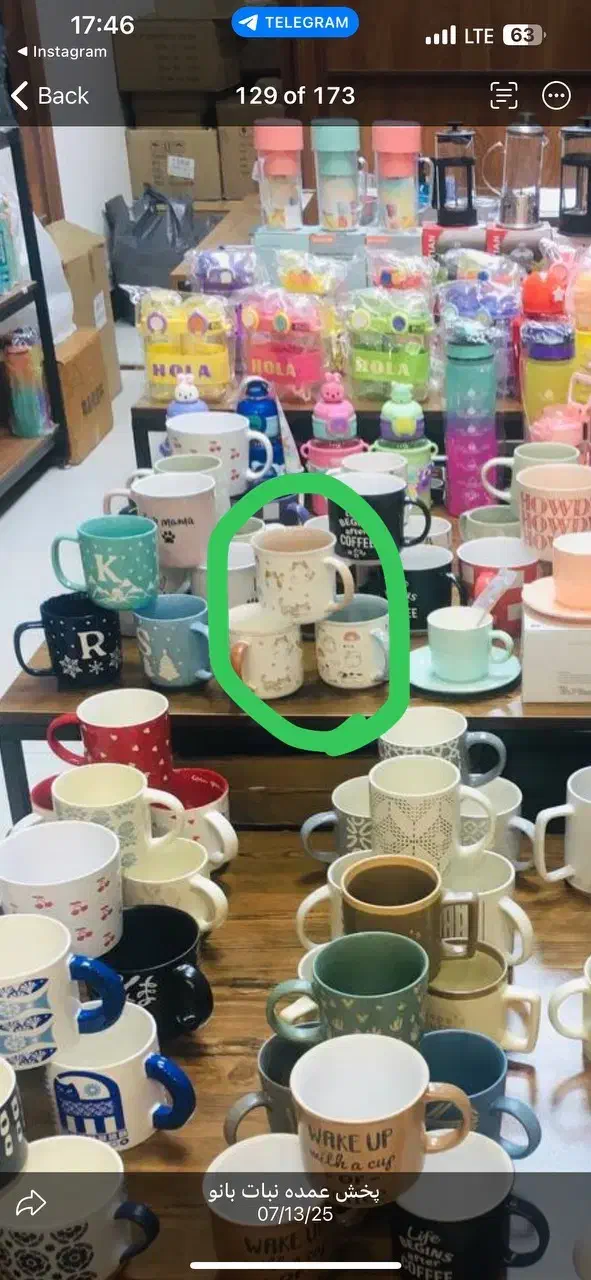 گلدان تزئینی|گل مصنوعی|تبریز, |دیوار