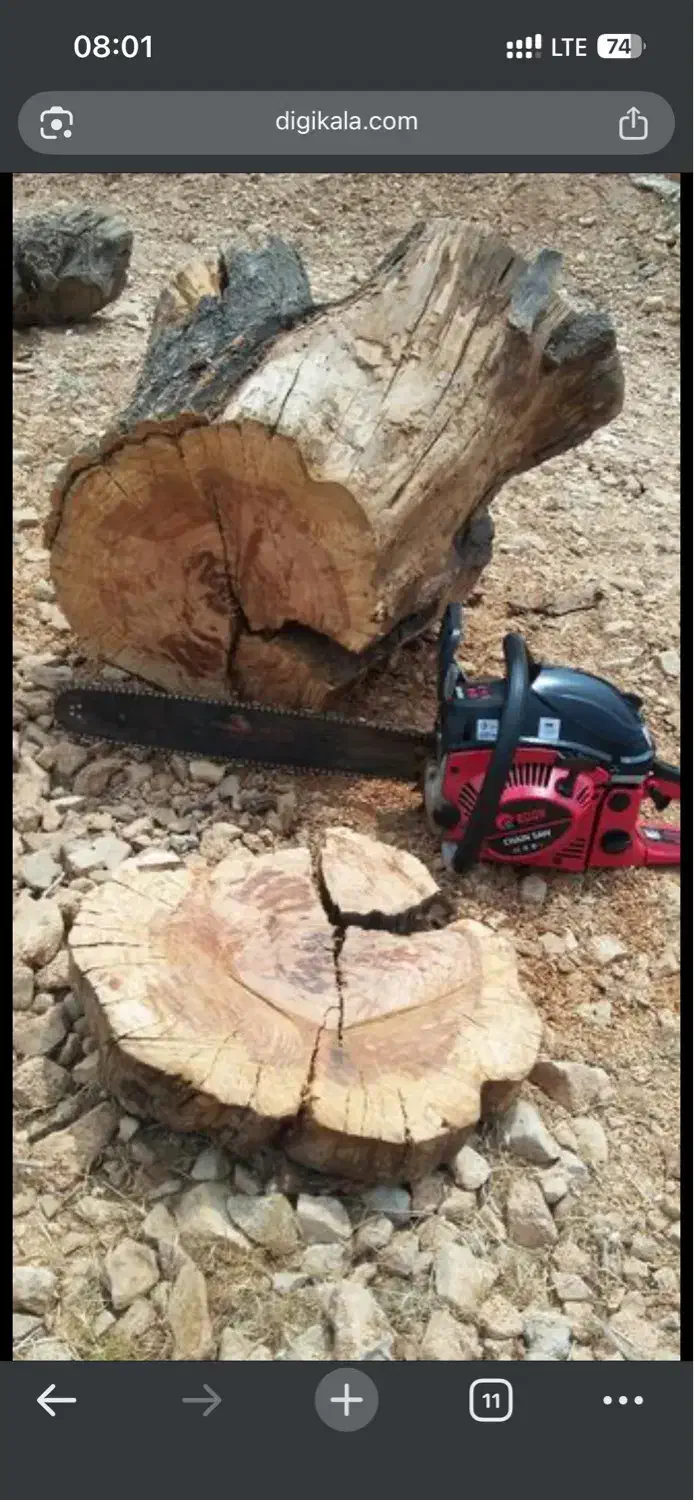 اره بنزینی ادون|ابزارآلات|بندر انزلی, نیمه شعبان|دیوار