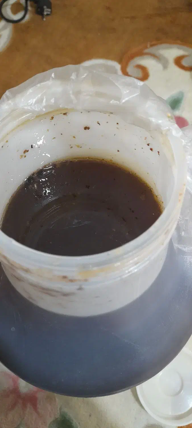 عسل درجه یک به شرط|خوردنی و آشامیدنی|شیراز, طلاب|دیوار