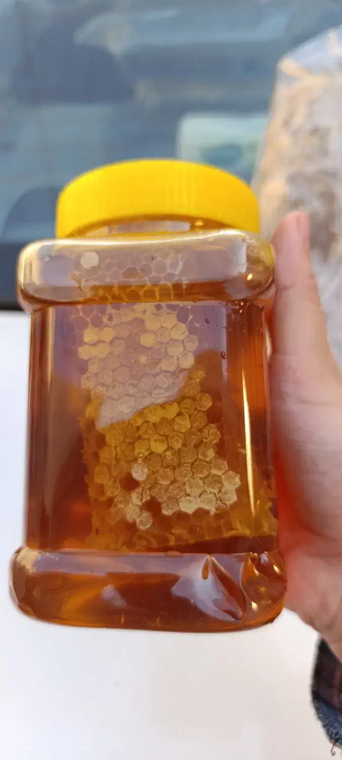 عسل طبیعی اردبیل مشگین شهر|خوردنی و آشامیدنی|قرچک, داوود آباد|دیوار