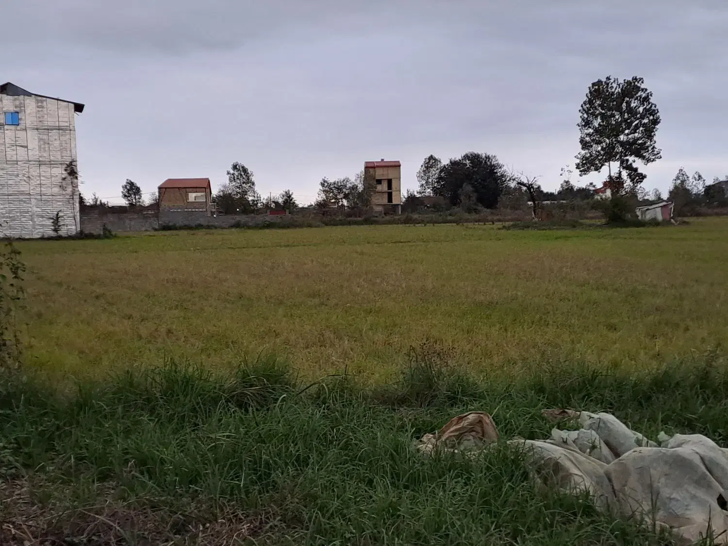 زمین ۱۸۰۰۰متری دربلوار لاکان کوچه ملکی|فروش زمین و ملک کلنگی|رشت, لاکان شهر|دیوار