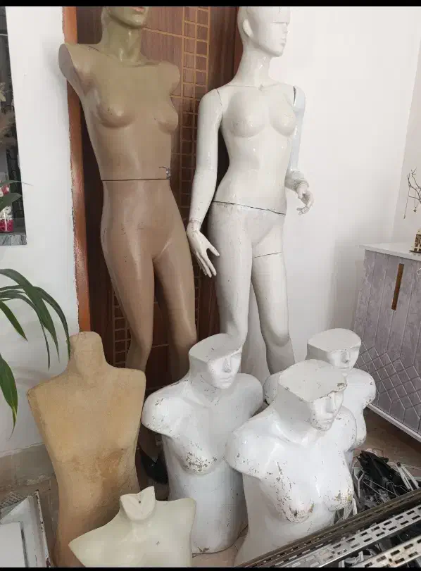 مانکن رگال ۳جفت پشتی هم موجوده|فروشگاه و مغازه|تربت‌حیدریه, منصوریه|دیوار