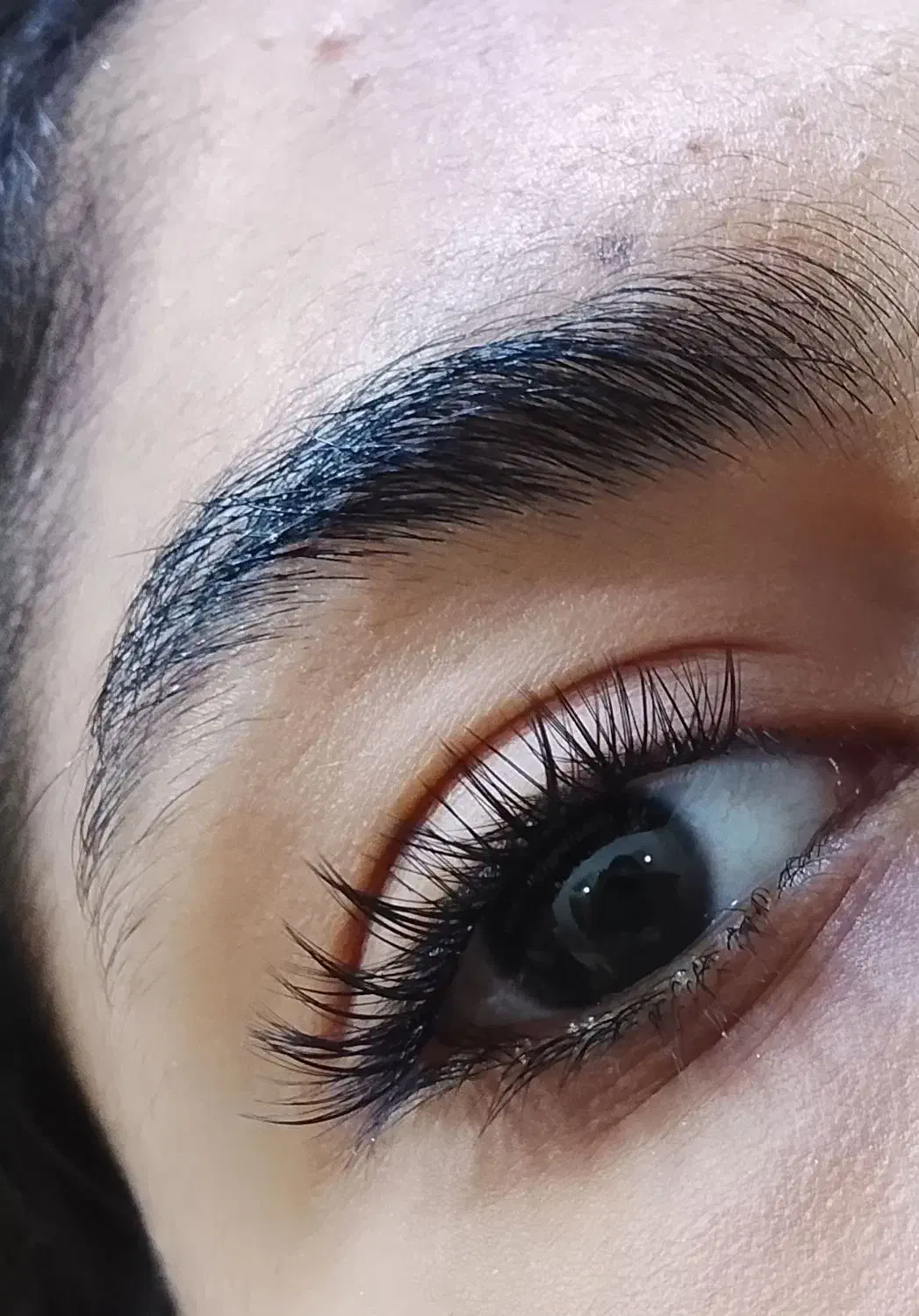 مدل کاشت مژه|خدمات آرایشگری و زیبایی|میناب, |دیوار