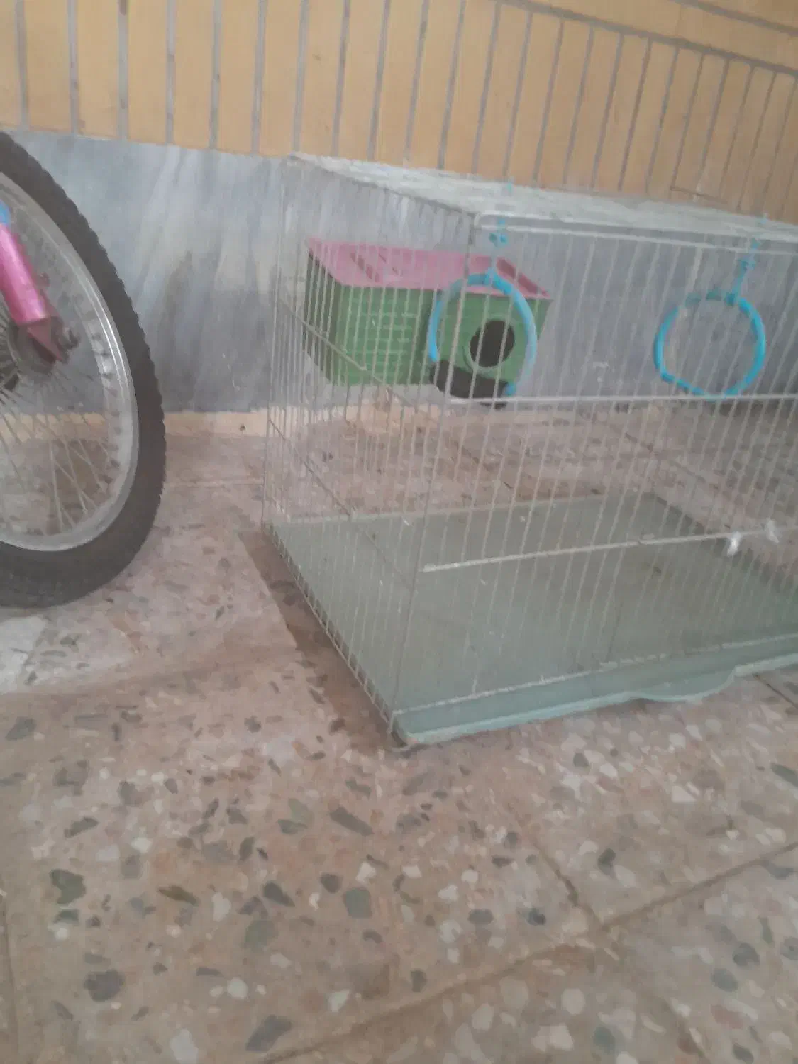 قفس|لوازم جانبی حیوانات|رامهرمز, |دیوار