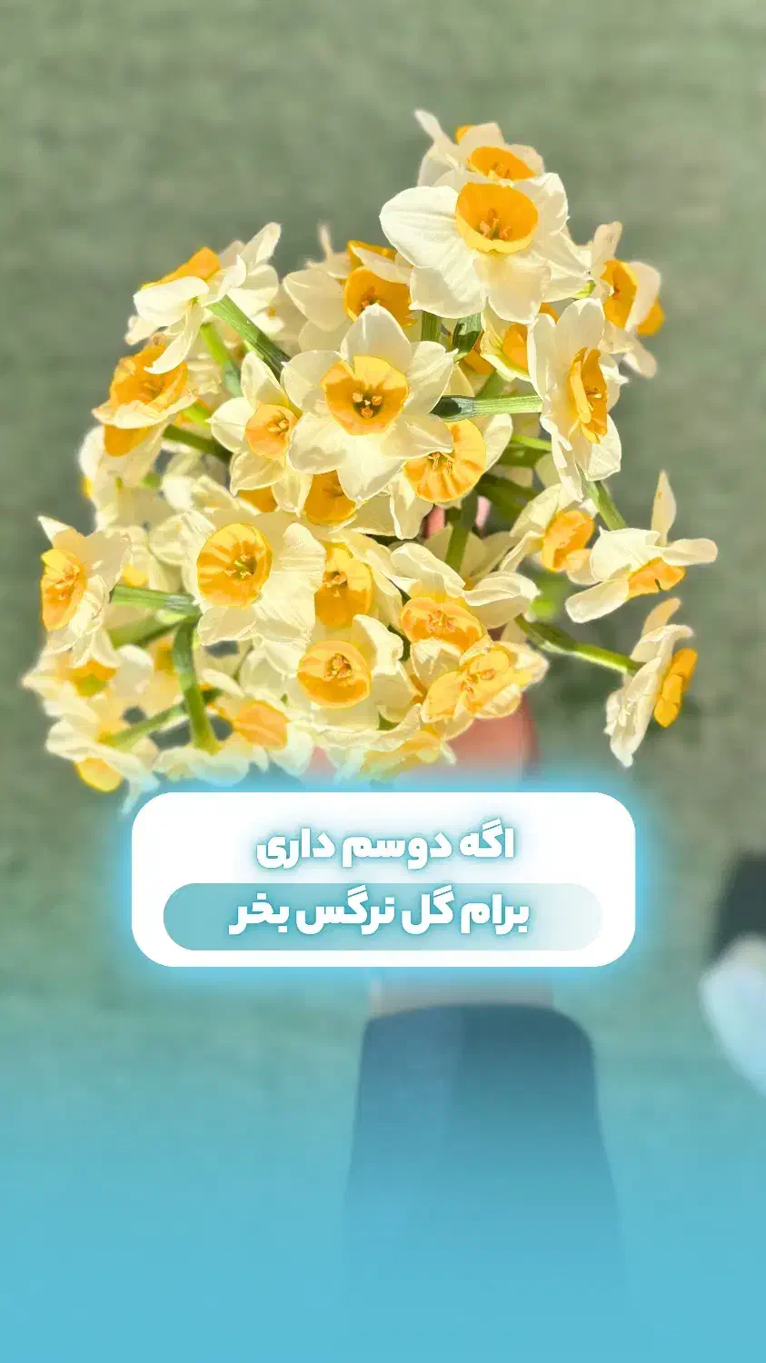 طراحی و ادیت کاور و ریلز اینستاگرام|خدمات رایانهای و موبایل|یزد, |دیوار