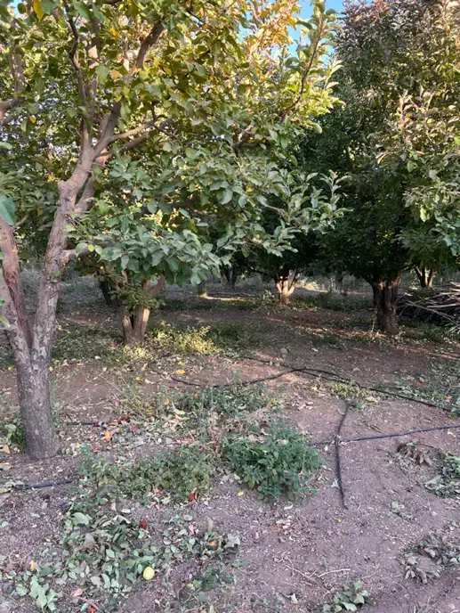 باغچه ۵۰۰ متری دماوند جابان سند تک برگ آب برق گاز|فروش زمین و ملک کلنگی|دماوند, دماوند|دیوار