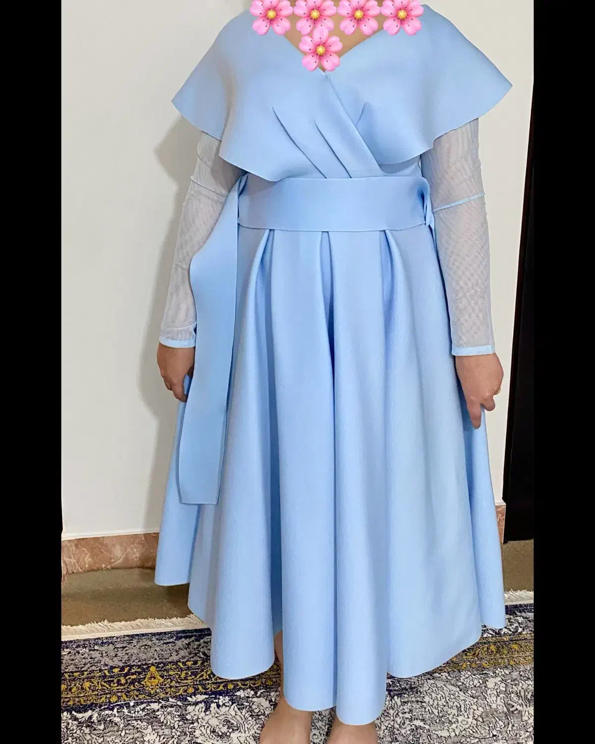 لباس مجلسی|لباس|ساری, |دیوار