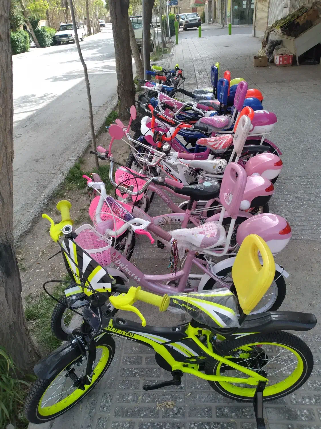 دوچرخه برتر|دوچرخه، اسکیت، اسکوتر|فولادشهر, فولادشهر|دیوار