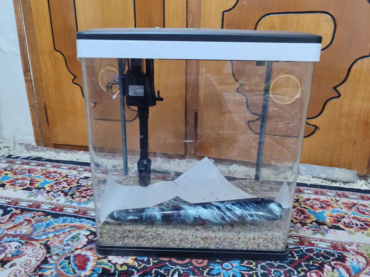 اکواریوم|ماهی|بندر ماهشهر, |دیوار