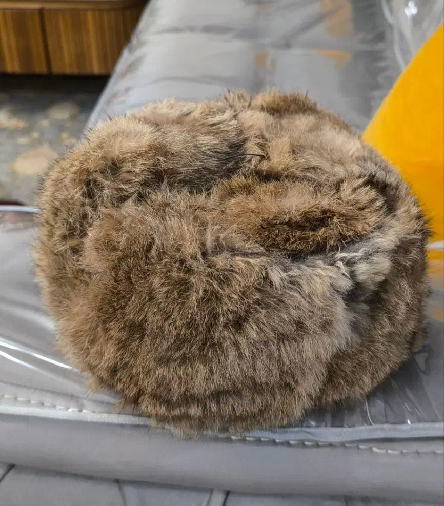 کلاه پوست خرگوش|کیف، کفش، کمربند|قدس, شهرقدس|دیوار