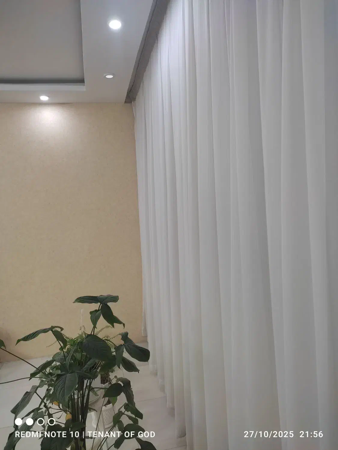 پرده حریر ساده و پشت پنجره ای|پرده، رانر، رومیزی|مشهد, ایثارگران|دیوار