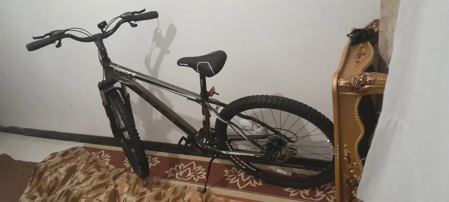 دوچرخه ۲۹|دوچرخه، اسکیت، اسکوتر|تهران, مینابی|دیوار