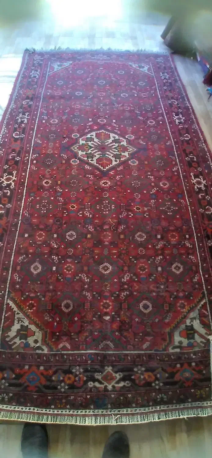 فرش دستبافت|فرش|کرمانشاه, |دیوار