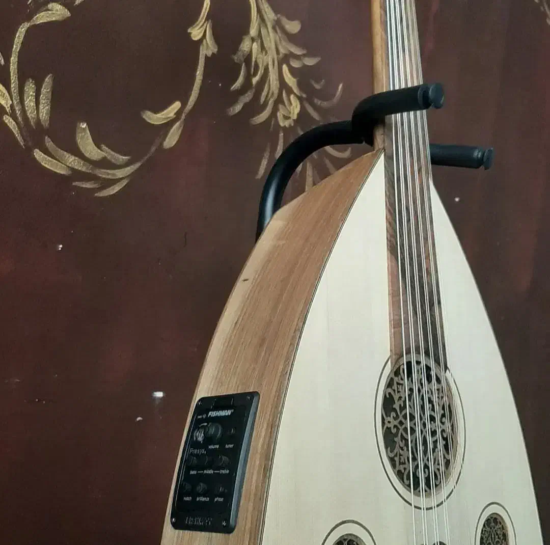 عود الکتروآکوستیک|سازهای سنتی|اصفهان, ملک‌شهر|دیوار