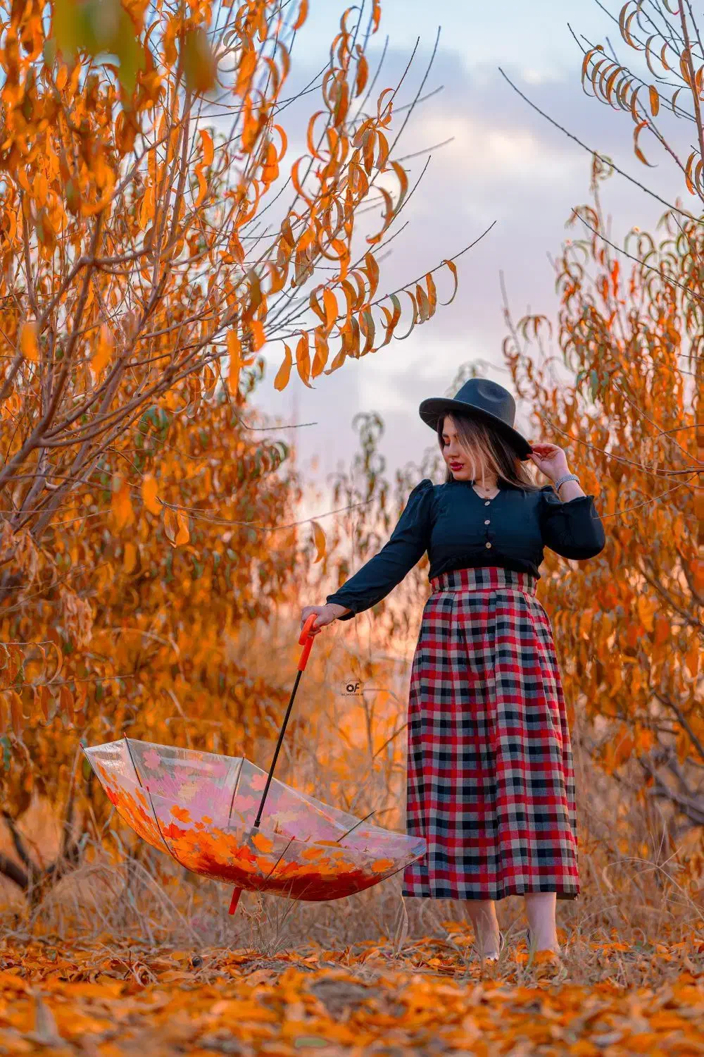 عکاسی تخصصی|خدمات پذیرایی، مراسم|خرمآباد, |دیوار