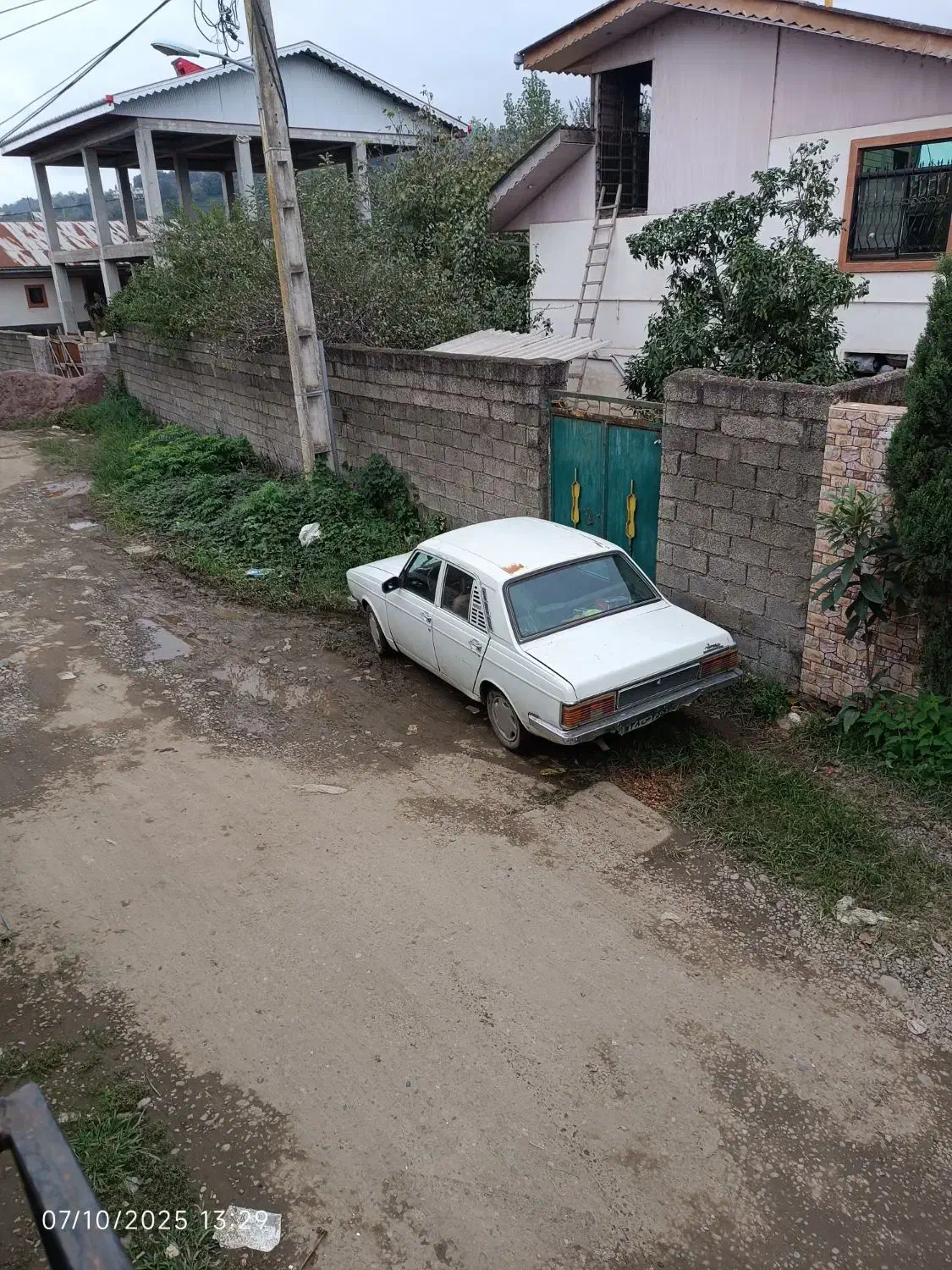 پیکان مدل 81انژکتور|خودرو سواری و وانت|املش, |دیوار