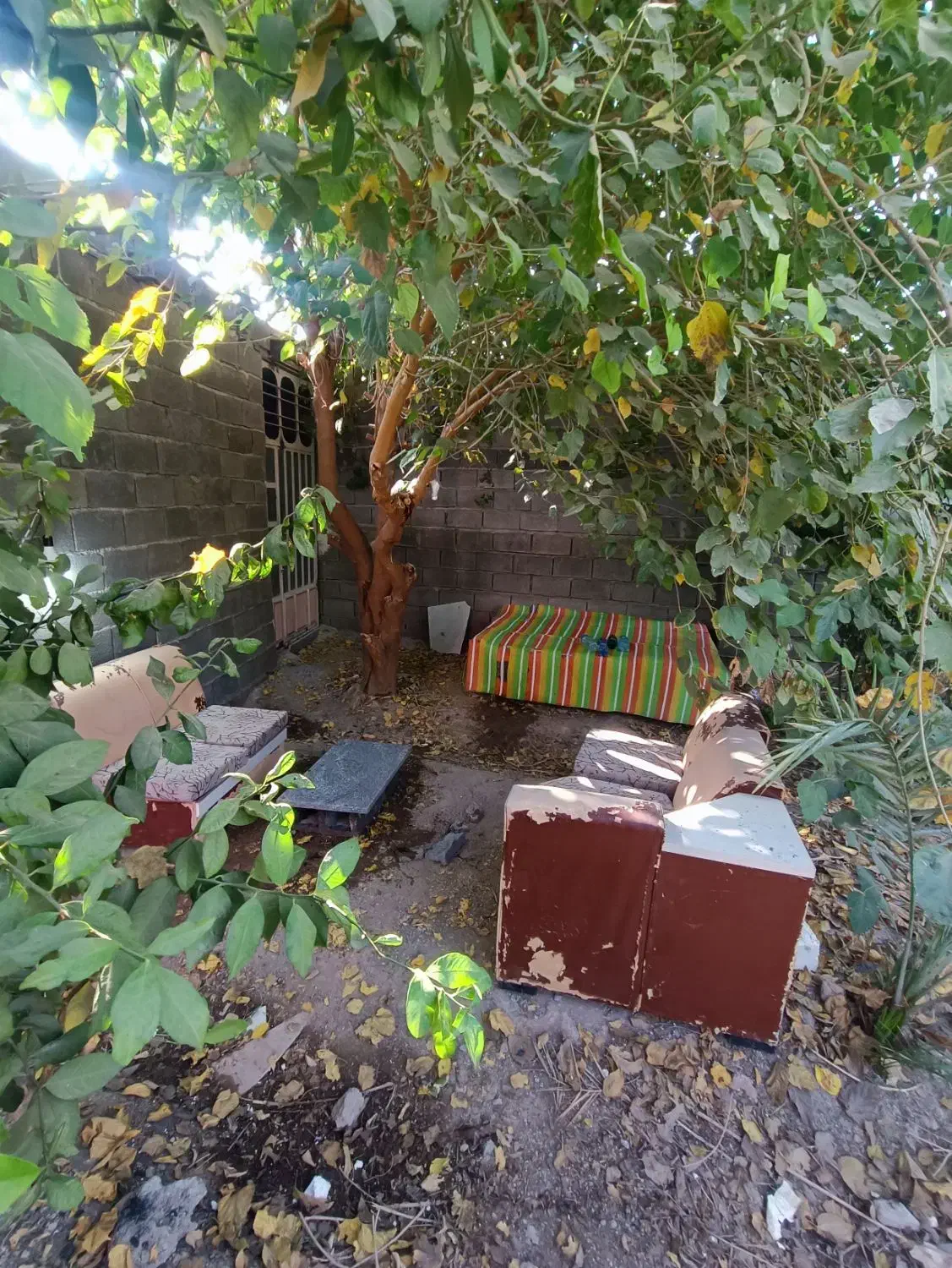 باغ شمس آباد بنوار. شامی دز فول|فروش خانه و ویلا|اهواز, نادری|دیوار